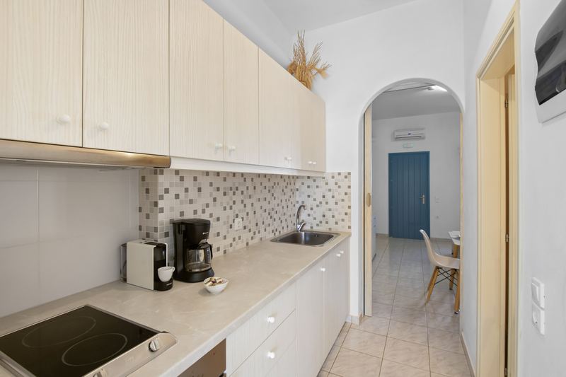 Dahlia apartment, Flora Apartments Paros – fully equipped kitchen